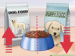 So that he will have ample time to digest his food and eliminate one last time before bedtime. How To Put Your Puppy On A Healthy Feeding Schedule 11 Steps