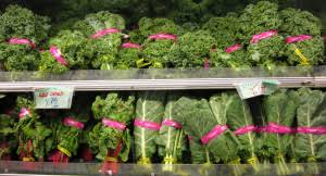 This includes florets, leaves and stems. Suggested Vegetables And Fruits For A Rabbit Diet House Rabbit Society