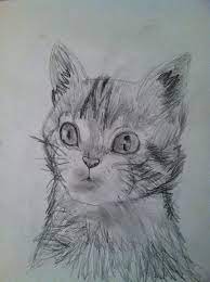 This cat drawing tutorial is a new addition to our ever growing collection of step by step drawing tutorials for all ages. Practice In Realistic Cat Drawing By Tf Wire On Deviantart