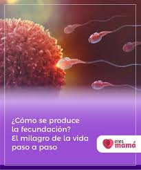 Pin En Embarazo