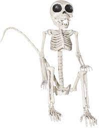 Monkey Skeleton 23 In Costumepub Com Skeleton Decorations Spooky Halloween Decorations Creepy Decor