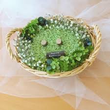 のむこ on instagram かごリングピロー ドライかすみ草と紫陽花 ナチュラルで 可愛いらしい リングピローになりました オーダー ありがとうございました nomuko リングピロー ringpillow かごリン リングピロー ウェディング 星 diy ウェディング