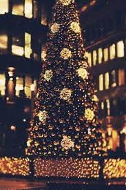 Check spelling or type a new query. Download Free Christmas Tree Lights Iphone Wallpaper Mobile Wallpaper Contributed By Christmas Tree Lighting Christmas Tree Christmas Wallpaper Christmas Tree