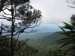 Gunung nuang is located in hulu langat district. View From The Top 4 Picture Of Gunung Nuang Hulu Langat District Tripadvisor