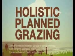 Holistic Planned Grazing
