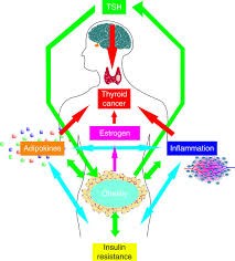 These factors do not, however, always cause cancer in everyone who is exposed to the risk; Obesity And Thyroid Cancer In Endocrine Related Cancer Volume 21 Issue 5 2014