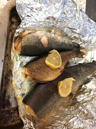 appalachian grilled trout recipe