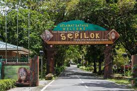 We offer effective rehab services in kuala lumpur at the best prices. Datei Sandakan Sabah Sepilok Orangutan Rehabilitation Centre 00 Jpg Wikipedia