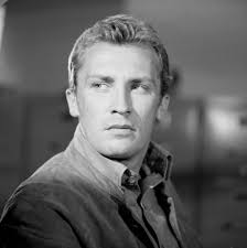 Rajongtak a magyar nők a Hosszú, forró nyár sármos farmerfejedelméért