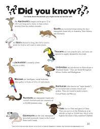 The Fun Facts Page From My How To Draw Animals Book For Kids Coming Soon