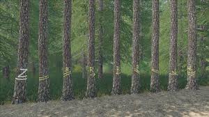 Märchen forest skidrow 1.0.3 / marchen forest mylne and. Fs19 Placeable Skidtrail Trees V1 0 0 0 Farming Simulator 2017 Mod Ls 2017 Mod Fs 17 Mod