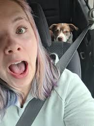 Beautiful night at Catalina State Park, with a hike tomorrow to Romero  Pools.. such a nice campground, we even had a great chili dog for dinner