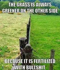 The Grass Is Always Greener On The Other Side Origin The Grass Is Always Greener On The Other Side Because Funny Pictures The Funny Humor