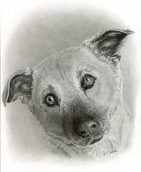 Puppy outline clipart black and white puppies for coloring or etsy. Black And White Dog Drawings Fine Art America