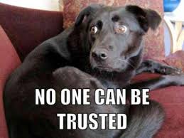 6mo · particleparty1 · r/physicsmemes. Happy April Fool S Day Jokes Memes 10 Funny Memes And Jokes That Perfectly Sum Up The Spirit Of 1st April Times Of India