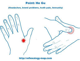 38 Precise Headache Pressure Points Chart