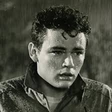 Rod Lauren Lyrics, Songs, and Albums