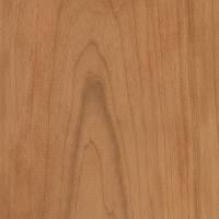 Maybe you would like to learn more about one of these? Black Cherry The Wood Database Lumber Identification Hardwood