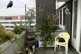 Die katze kann die frische luft genießen und das treiben draußen beobachten und ist in kleinster weise gefährdet, zu fallen. Balkonien Fur Katzen Herz Fuer Tiere De