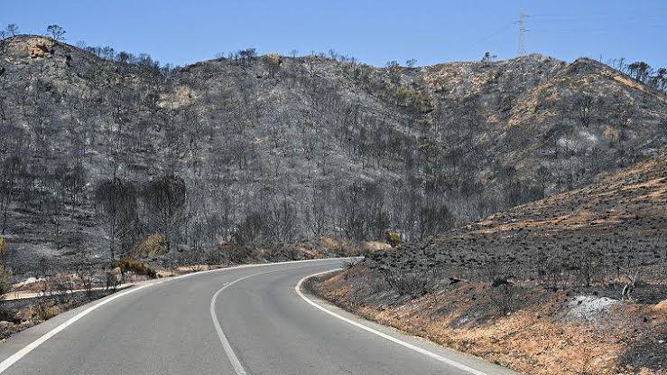 Badly burned British couple rescued from ravine during Spain wildfires