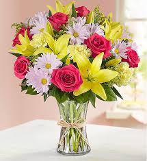 Picked fresh on 1800flowers' farms around the world, these flowers are handled with care and shipped fresh to ensure their beauty for enjoyment. Fields Of Europe For Mom 1800flowers Com 148529