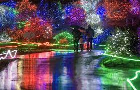 Pin By Alexandra M C On Awesome Zoo Lights Lights Tour Chicago Bucket List