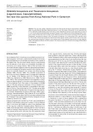 Image result for Tessmannia anomala