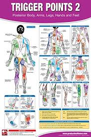 trigger point therapy chart poster set acupressure charts myofascial trigger points massage therapy charts muscle pain relief posters