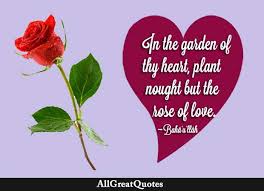 Love Quotes Involving Roses In 2020 Rose Quotes Rose Love Quotes Shakespeare Love Quotes