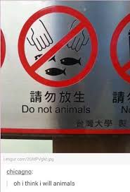 Do Not Animals Click It Memes Funny Dank Tumblr Funny Really Funny Stupid Funny