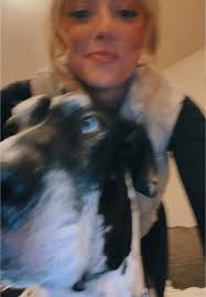 Sled Dogs Great Dane