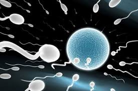 Quan hệ cửa sau an toàn, có thể tránh thai