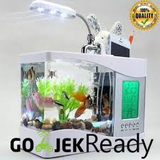 Sebelum belajar mengenai cara membuat aquarium, anda perlu memahami pentingnya memasukkan unsur alam ke dalam ruangan. 5 Langkah Membuat Akuarium Mini Yang Unik Bukareview