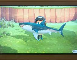 Yes, assuming you have no other use for them or were going to sell them anyway. So If I Get Rare Fish Do I Sell Them Or Give Them Over To Blathers Dunno What Choice To Do Since I M New Lol Animalcrossing