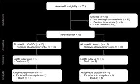 study flow chart uc msc indicates umbilical cord derived