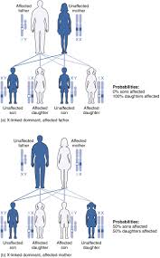 X Linked Dominant Genetics Genetic Counseling Genetics Heredity