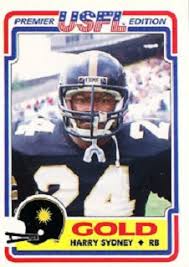 Image result for Light Harvest Gold 1983 Fedders