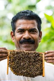 Honey: Nature's Exclusive Wonder Food