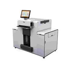 Image result for Medium Fern 1995 Chrysler