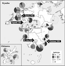 distribution of rdna haplotypes of bursaphelenchus