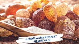 House of gum arabic | pelbagai pilihan gum arabic. Kelebihan Dan Khasiat Arabic Gum Iena Lifestyle Blogger