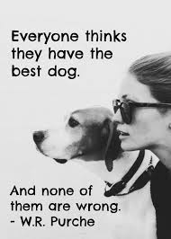 Quote About The Best Dog Www Fordogtrainers Com Hund Zitat Hundespruche Tiere