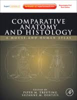 Comparative Anatomy And Histology Sciencedirect