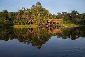 Resultado de imagen para que es la amazonia aqui en ecuador