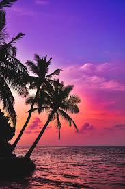 Beach aesthetic desktop wallpapers and background images for all your devices. 1001 Ideas For A Beach Aesthetic Wallpaper For The Daydreamers