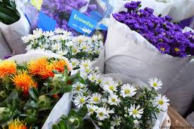 We did not find results for: 7 Ways To Make Your Beautiful Bouquet Last Longer Expert Home Tips