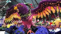 Image result for bloemencorso
