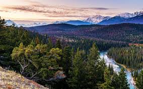 Fondos de pantalla de paisajes. Descargar Fondos De Pantalla Parque Nacional Jasper 4k Paisajes Nocturnos Otono Montanas Alberta Canada Bosque Hermosa Naturaleza Libre Imagenes Fondos De Descarga Gratuita