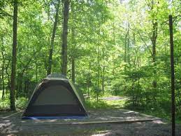 Information on frontcountry campgrounds & backcountry camping in smoky mountains camping. Big Creek Campground Backpacking Camping