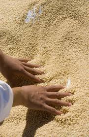 A little less water makes drier couscous, good instructions. M Hamsa Salad Rogers Collection